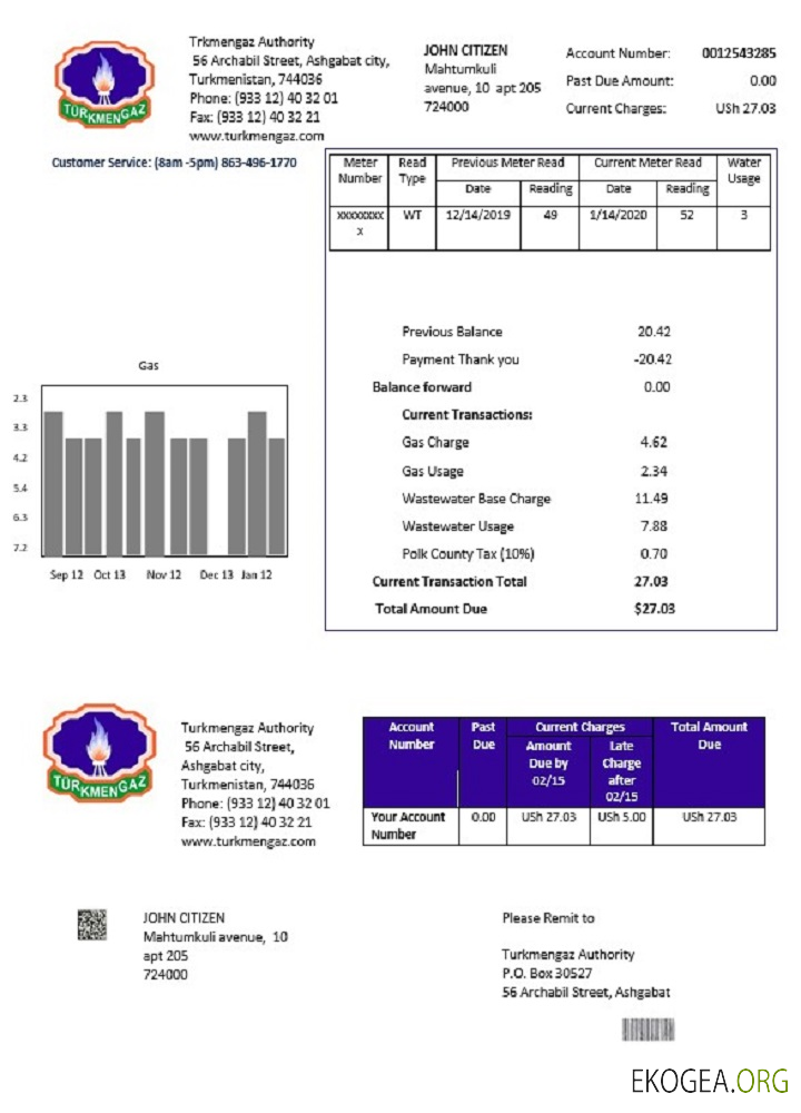 Turkmenistan Turkmengaz utility bill template in Word and PDF format